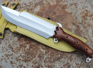 8 Inch Predator Survival Military Knife-7793