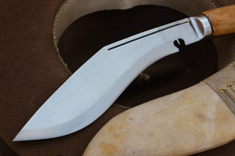 51lgeeZsP7L._AC_SL1000_