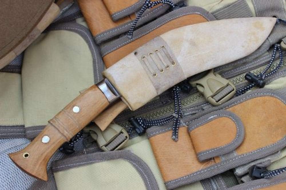 61zriaBWccL._AC_SL1000_