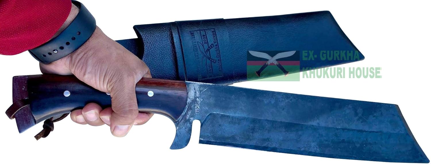 71w9kpEvNRL._AC_SL1500_