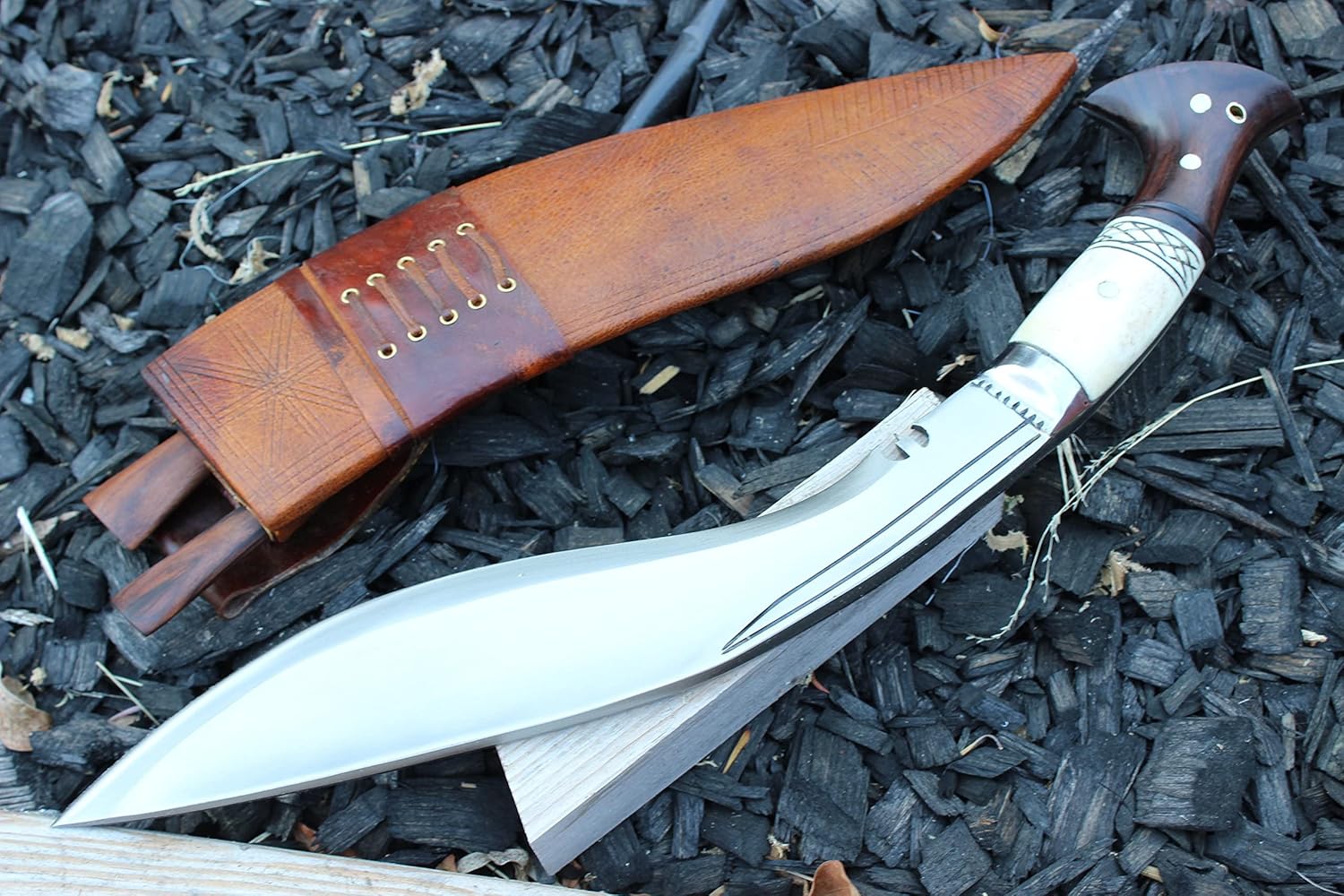 81Jg8e1nrLL._AC_SL1500_ (1)