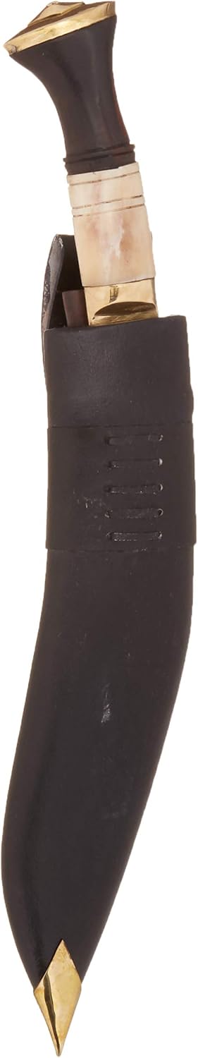 51Yym0GveZL._AC_SL1500_