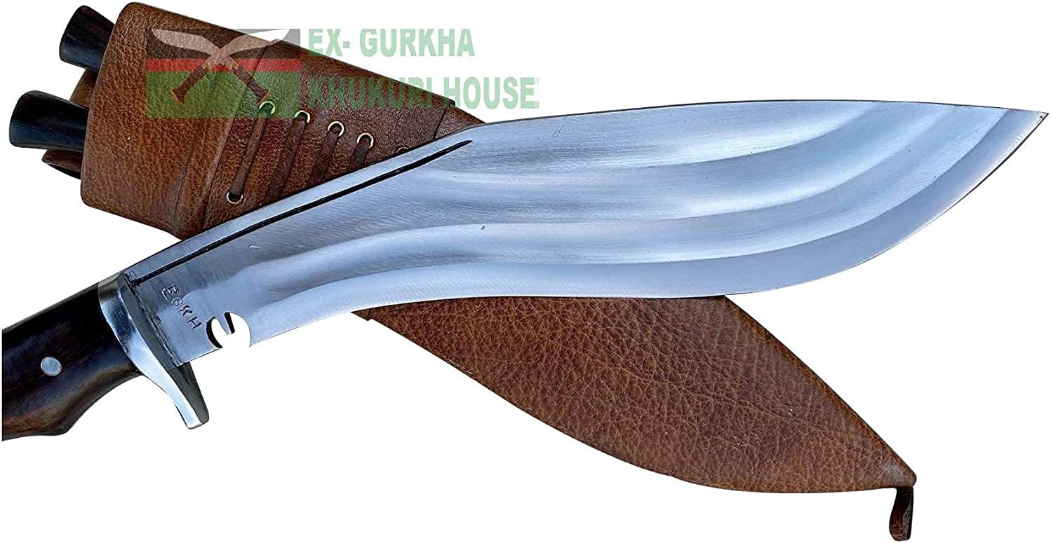 61OyIfjzgqL._AC_SL1500_