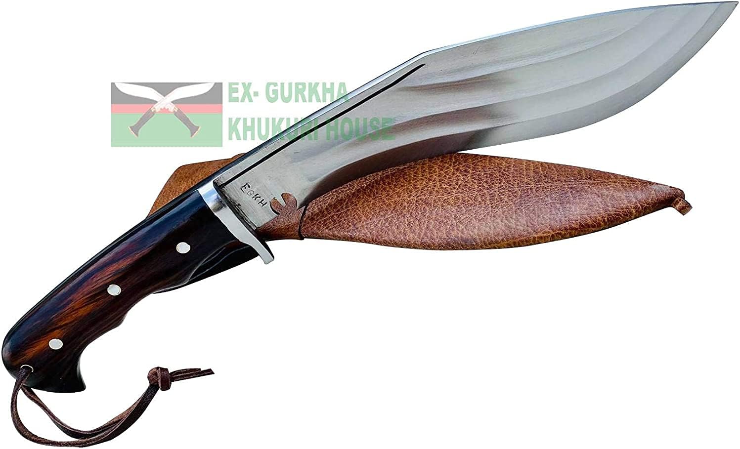 61UTp7qFKvL._AC_SL1500_