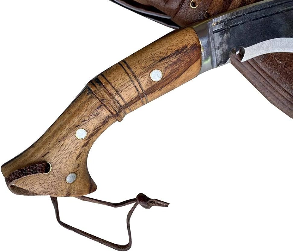 61zPCinXX7L._AC_SL1140_