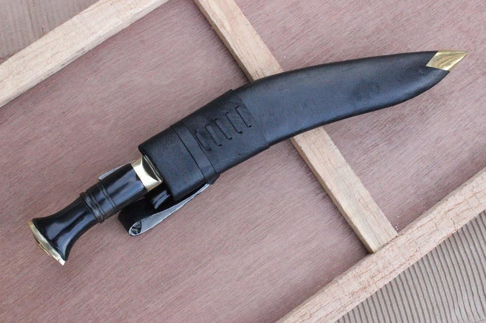 71D5XZSrSDL._AC_SL1000_