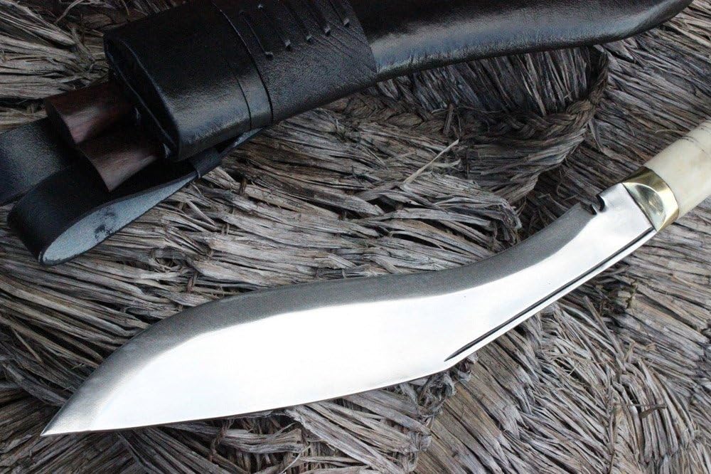 71Y6p1Z2BoL._AC_SL1000_