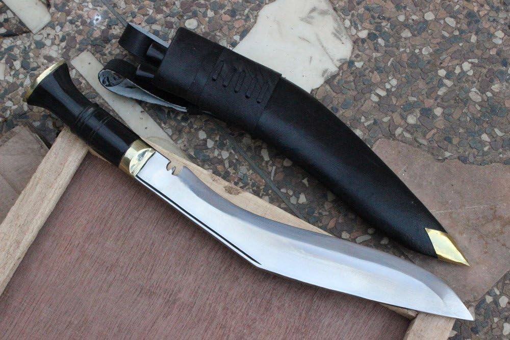 71ecwnQfpiL._AC_SL1000_