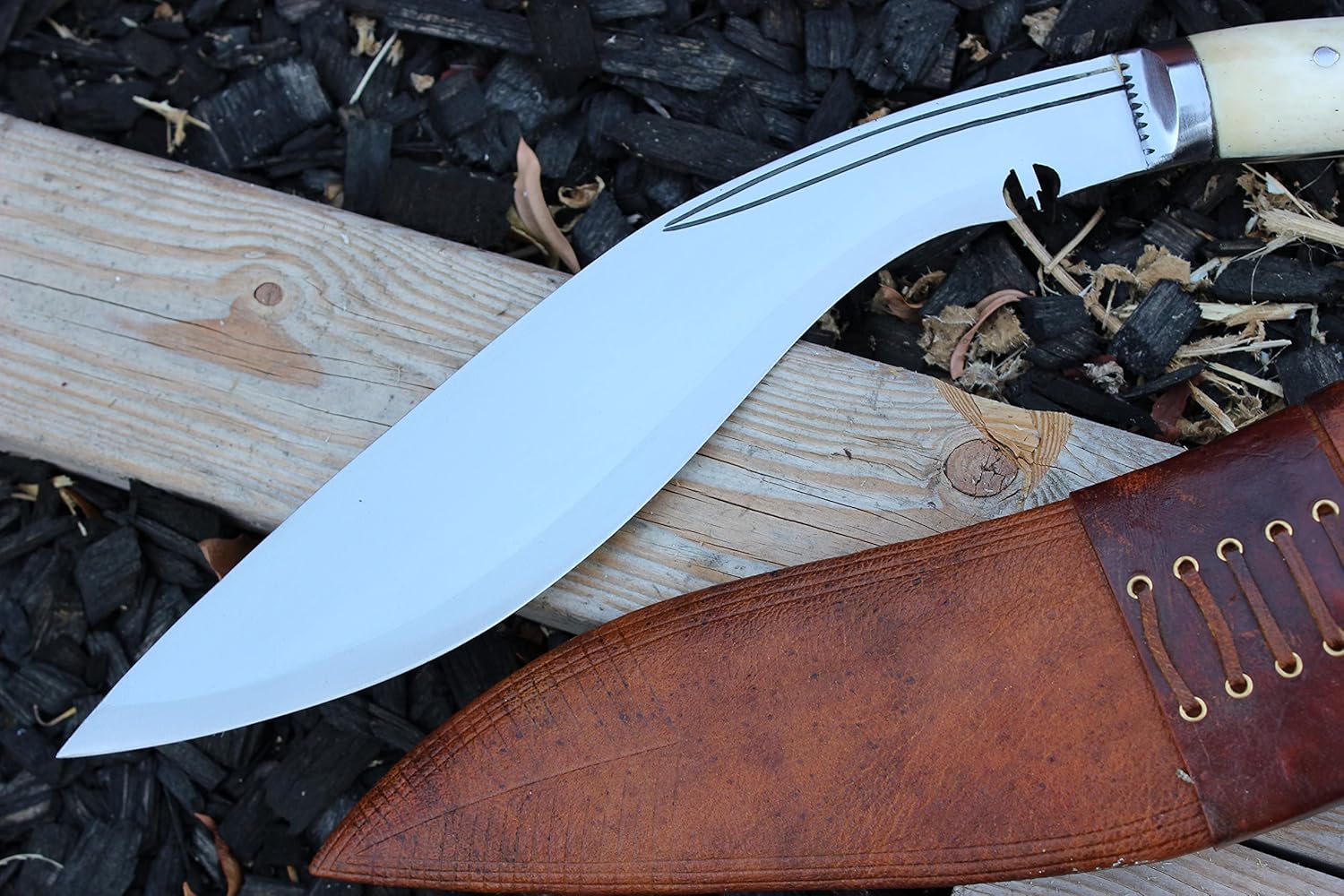 813lC7n2S4L._AC_SL1500_ (1)