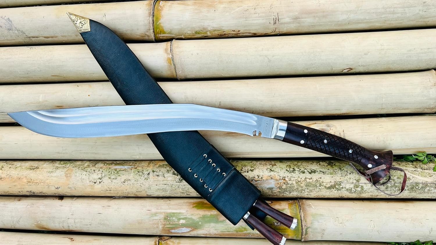 81QS7EyWBYL._AC_SL1500_ (1)