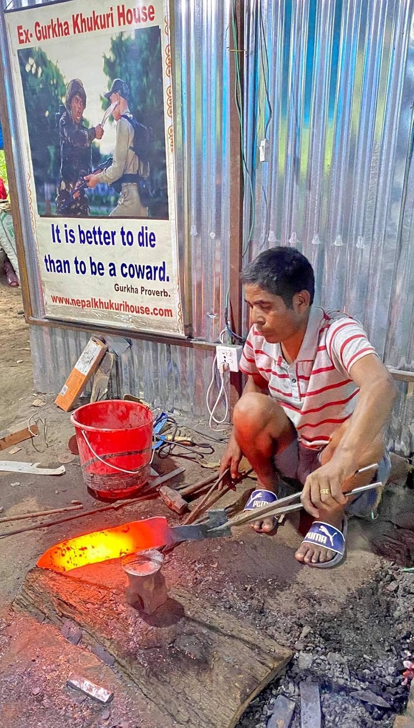 81jN6ImyGqL._AC_SL1500_ (1)