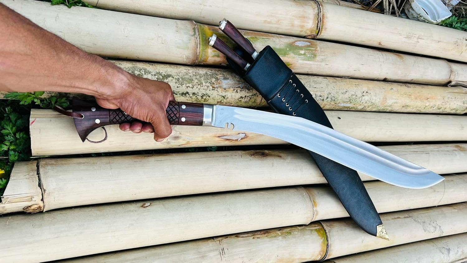 81kgFtkmqeL._AC_SL1500_ (1)