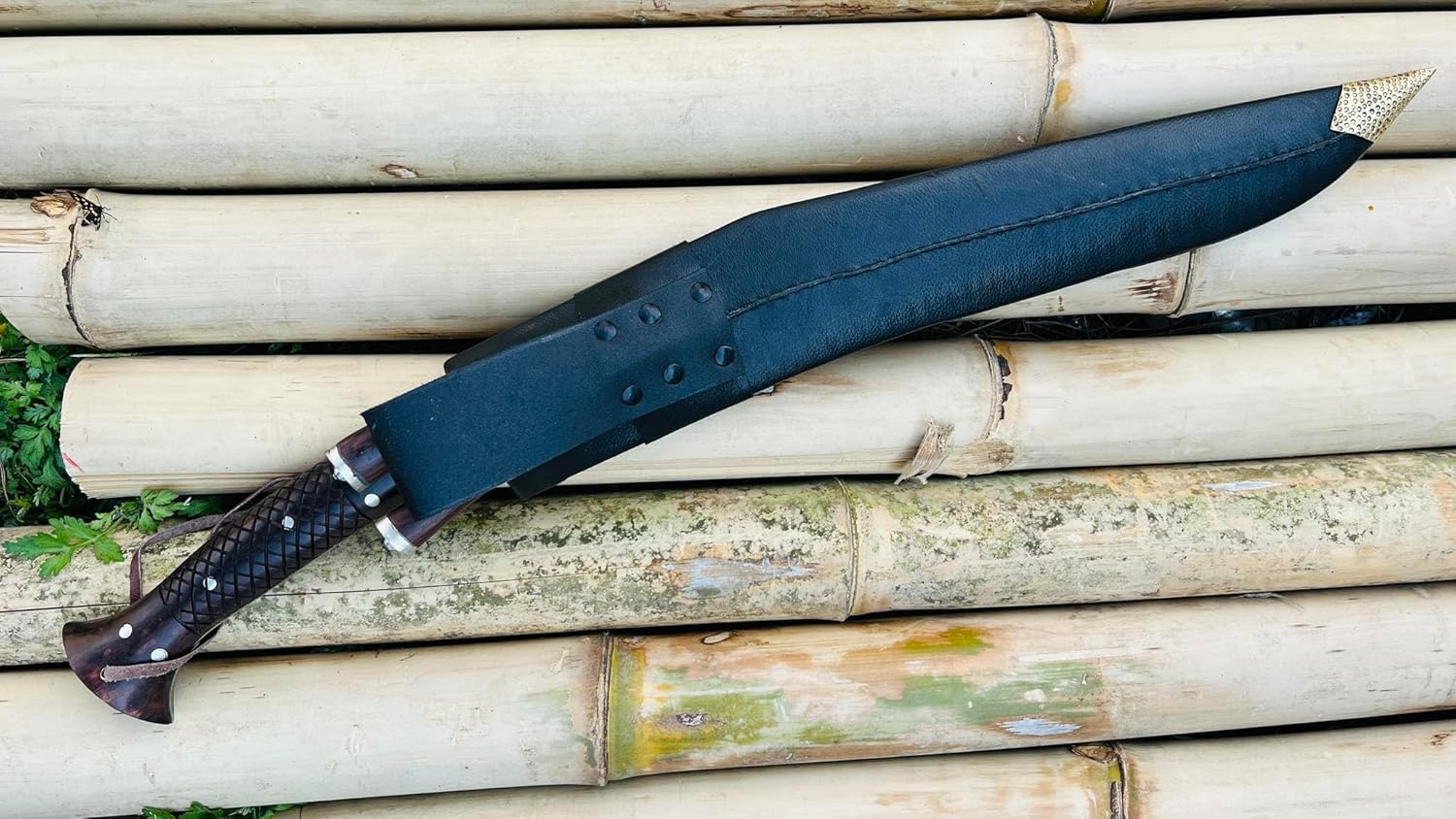 81r050xZEeL._AC_SL1500_ (1)