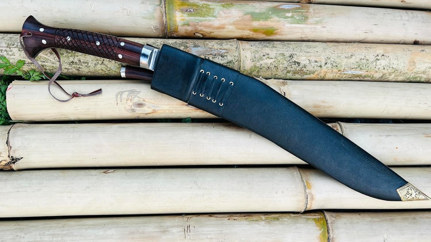 81tTsxqoNbL._AC_SL1500_ (1)